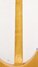 Rickenbacker 325/ V59, Mapleglo: Neck - Rear