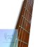 Rickenbacker 330/6 , Fireglo: Neck - Front