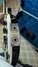 Rickenbacker 620/6 , Jetglo: Close up - Free