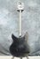 Rickenbacker 330/6 , Jetglo: Full Instrument - Rear