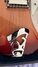 Rickenbacker 360/6 , Fireglo: Close up - Free2