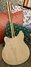 Sep 1998 Rickenbacker 370/12 , Mapleglo: Full Instrument - Rear