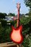 Mar 2001 Rickenbacker 330/6 , Fireglo: Full Instrument - Rear