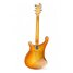May 1976 Rickenbacker 480/6 BT, Autumnglo: Full Instrument - Rear