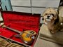 Dec 1957 Rickenbacker 850/6 Combo SPC, Autumnglo: Free image