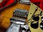Dec 1957 Rickenbacker 850/6 Combo SPC, Autumnglo: Close up - Free2