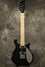Rickenbacker 650/6 Colorado, Jetglo: Full Instrument - Front