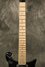 Rickenbacker 650/6 Colorado, Jetglo: Neck - Front