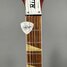 Rickenbacker 381/6 V69, Fireglo: Neck - Front