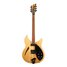 Rickenbacker 330/6 BH, Mapleglo: Full Instrument - Front