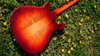 Oct 2008 Rickenbacker 660/12 , Amber Fireglo: Body - Rear