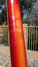 Rickenbacker 660/12 , Amber Fireglo: Neck - Rear