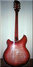 Rickenbacker 360/12 CW, Fireglo: Full Instrument - Rear