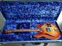 Rickenbacker 365/6 Mod, Fireglo: Full Instrument - Rear