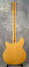 Rickenbacker 360/12 , Natural: Full Instrument - Rear