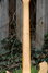 Rickenbacker 450/6 Combo, Natural: Neck - Rear