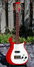 Rickenbacker 425/6 , Fireglo: Full Instrument - Front