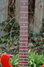 Rickenbacker 425/6 , Fireglo: Neck - Front