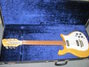 Rickenbacker 450/12 Mod, Natural: Full Instrument - Front