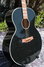 Rickenbacker 700/6 Comstock, Jetglo: Close up - Free2