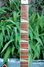 Rickenbacker 360/12 V64, Fireglo: Neck - Front