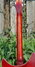 Rickenbacker 360/12 V64, Fireglo: Neck - Rear