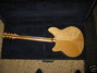 Rickenbacker 370/12 BT, Mapleglo: Full Instrument - Rear
