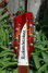 Jul 1968 Rickenbacker 366/12 , Fireglo: Headstock