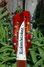 Rickenbacker 366/12 , Fireglo: Headstock