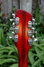 Rickenbacker 366/12 , Fireglo: Headstock - Rear