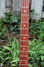 Rickenbacker 4001/4 V63, Fireglo: Neck - Front