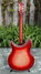 Rickenbacker 381/12 V69, Fireglo: Full Instrument - Rear