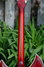 Rickenbacker 381/12 V69, Fireglo: Neck - Rear