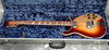 Rickenbacker 660/12 VP, MonteBrown: Free image