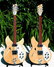 Rickenbacker 330/12 , Mapleglo: Free image2