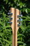 Rickenbacker 330/12 , Mapleglo: Headstock - Rear