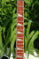 Rickenbacker 620/12 , Jetglo: Neck - Front
