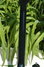 Rickenbacker 620/12 , Jetglo: Neck - Rear