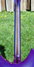 Rickenbacker 330/6 , Purpleburst: Neck - Rear