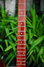 Rickenbacker 330/6 , MonteBrown: Neck - Front