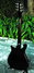 Rickenbacker 660/6 75th Ann, DCMetallic: Full Instrument - Rear