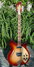 Rickenbacker 360/6 , MonteBrown: Full Instrument - Front