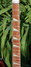 Rickenbacker 360/6 , MonteBrown: Neck - Front