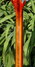 Rickenbacker 360/6 , MonteBrown: Neck - Rear