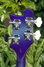 Rickenbacker 4003/4 , Blueburst: Headstock - Rear
