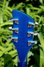 Rickenbacker 330/6 , Midnightblue: Headstock - Rear