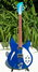 Rickenbacker 330/6 , Midnightblue: Full Instrument - Front