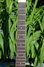 Rickenbacker Ken Roberts/6 f hole, Two tone brown: Neck - Front