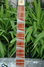 Feb 2007 Rickenbacker 660/12 , Midnightblue: Neck - Front