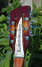 Oct 2005 Rickenbacker 370/12 VP, MonteBrown: Headstock